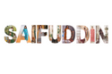 SAIFUDDIN